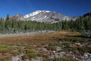 Awakening Your Full Potential: Mount Shasta Retreat 2022